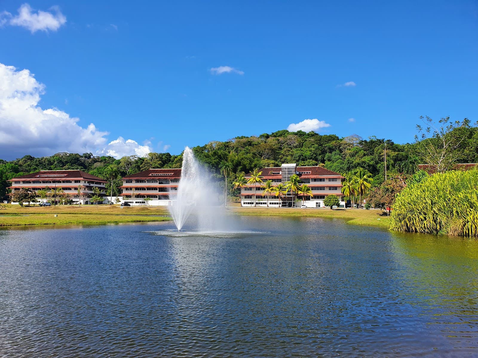 Ciudad del Saber Panama - Image 1
