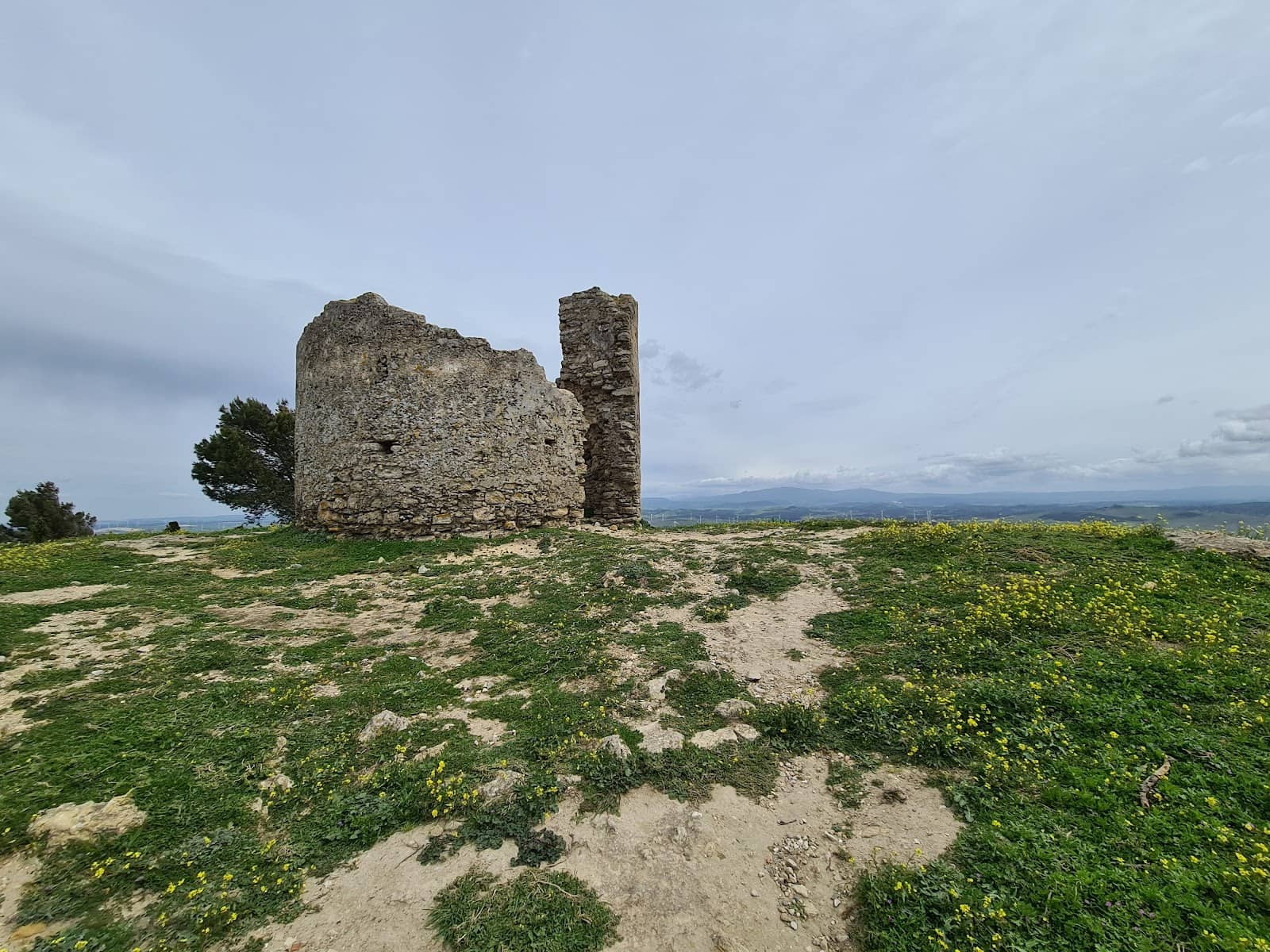 Vertical photo
