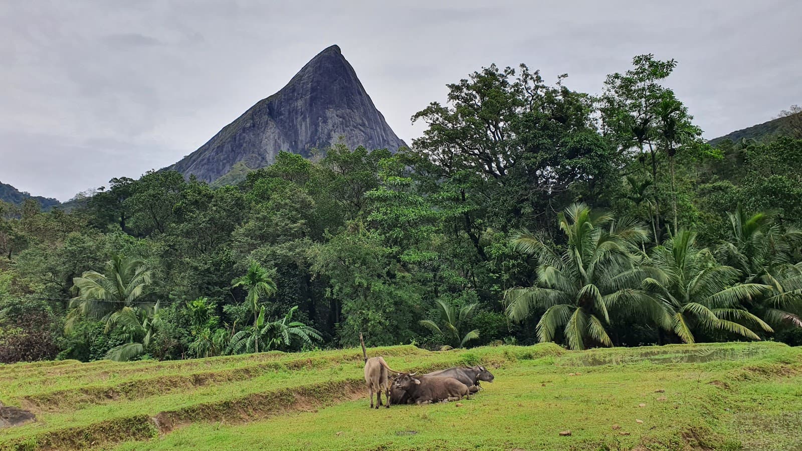 Meemure Village - Image 1