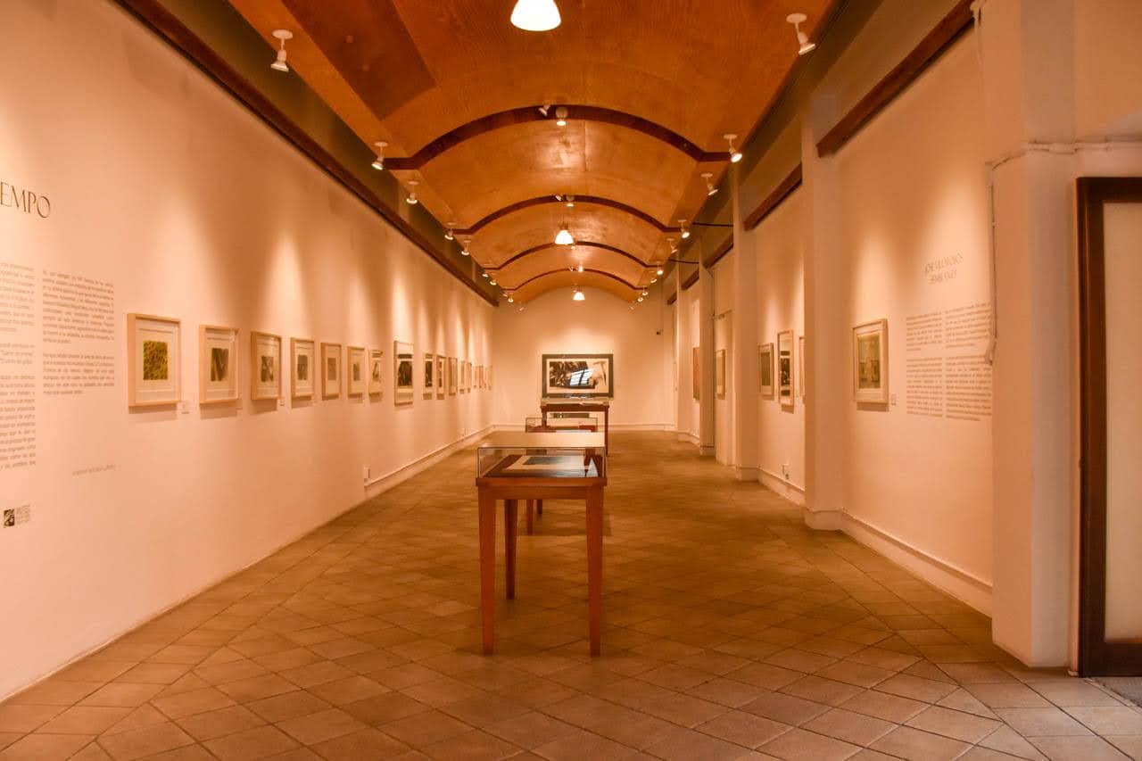 Rotating Art Exhibitions