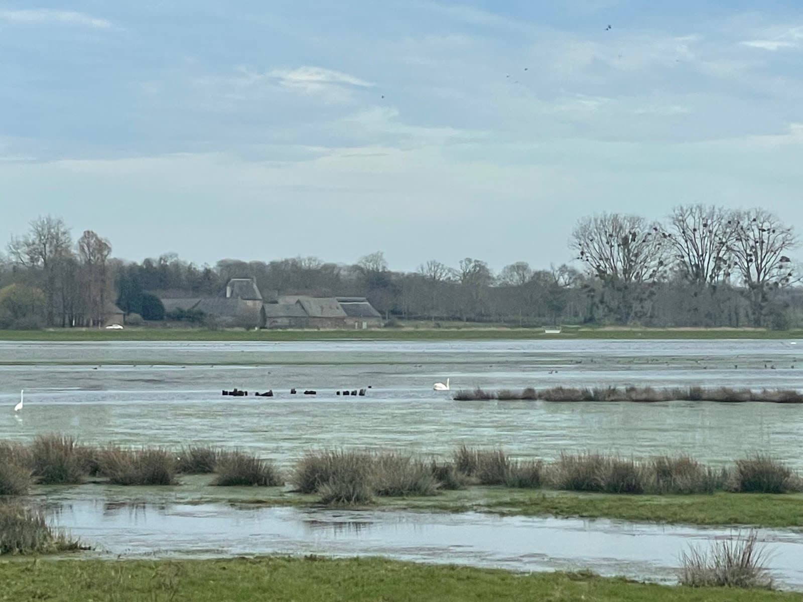 Marais de Sougéal - Image 1