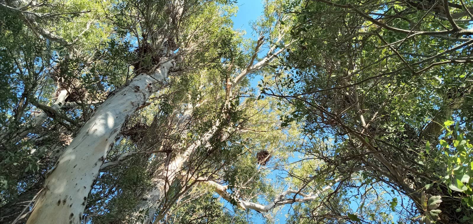 Vertical photo