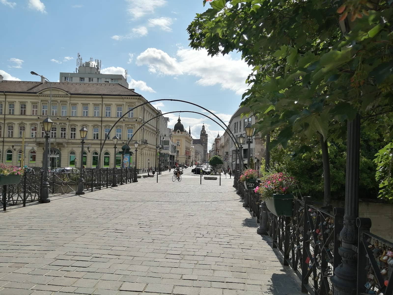 Local Street Food Delights