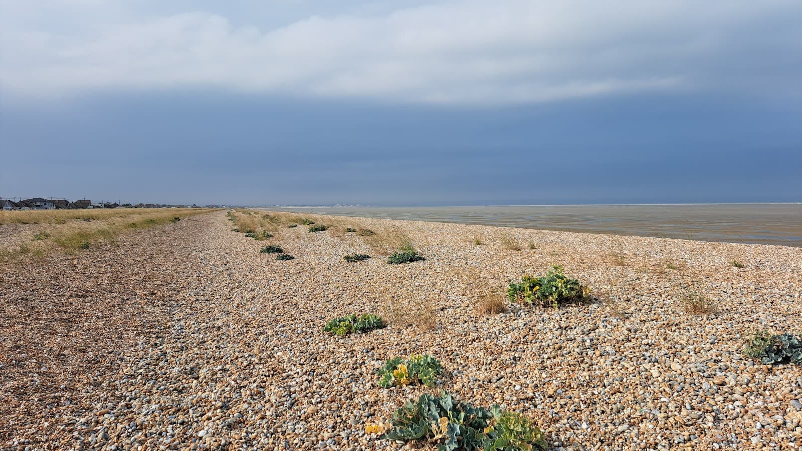 Dungeness Headland - Image 1