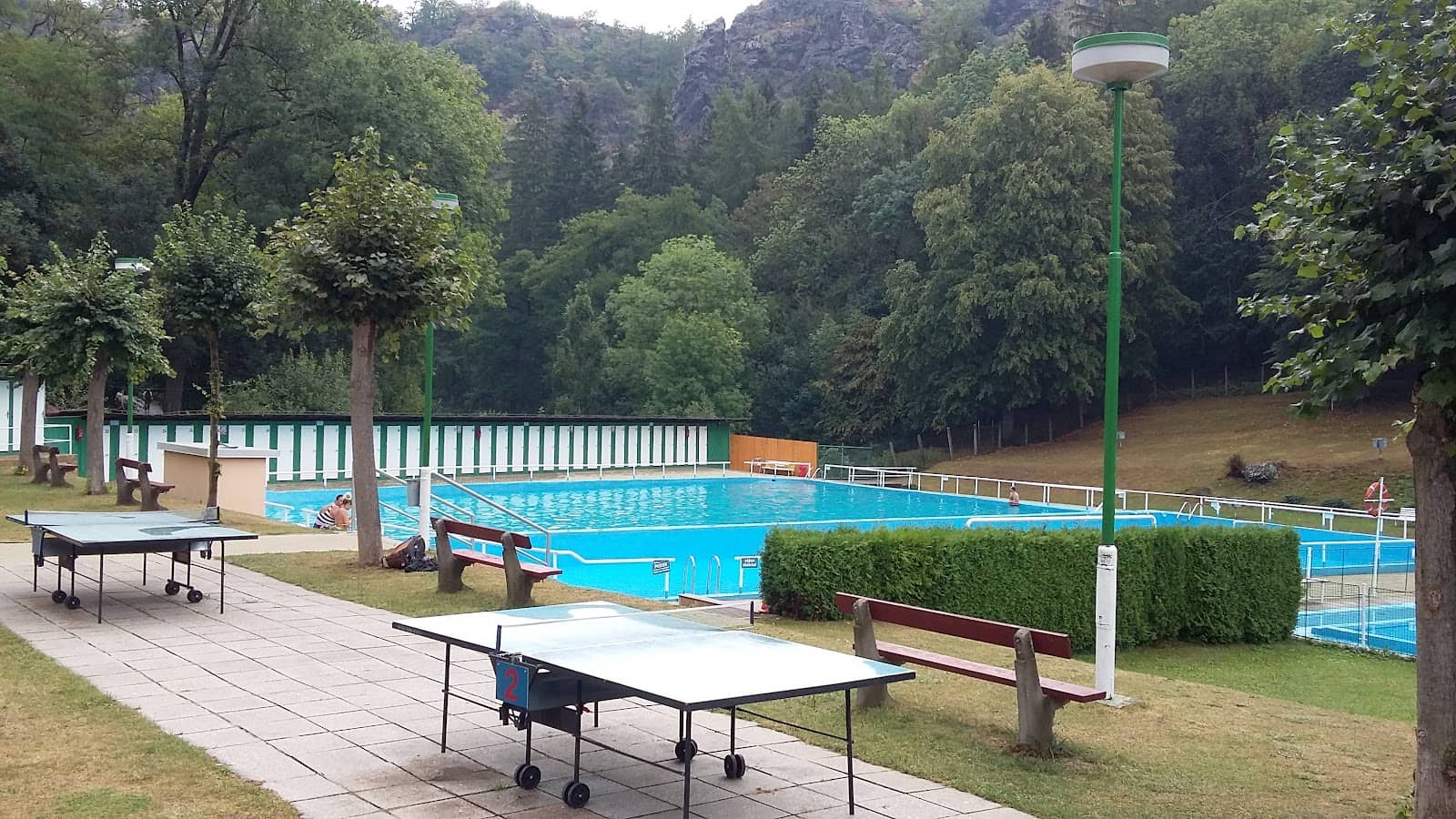 Black Woodpecker Habitat