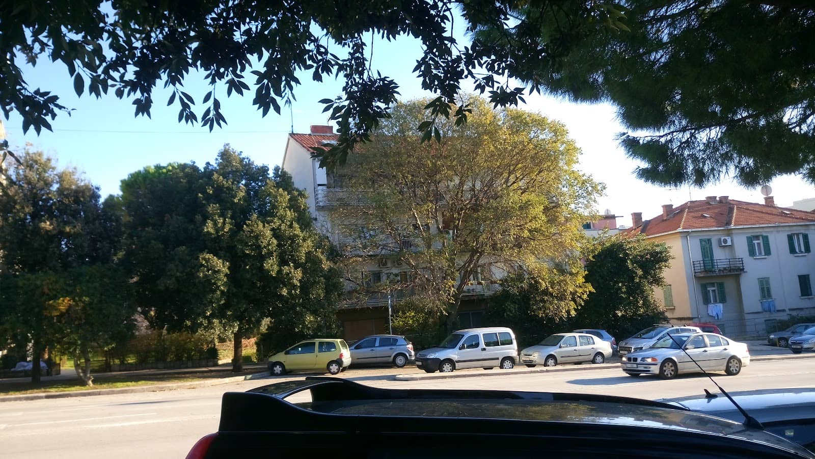 Vertical photo