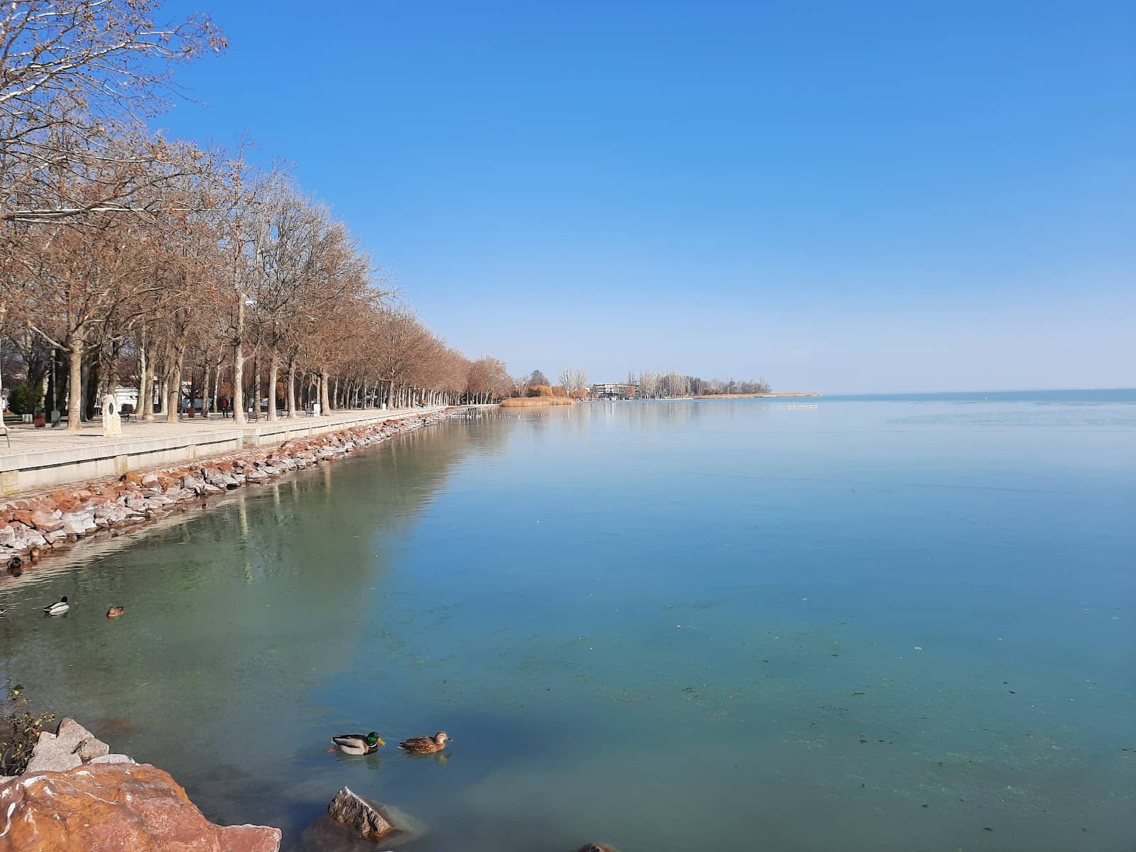 Lake Balaton Views