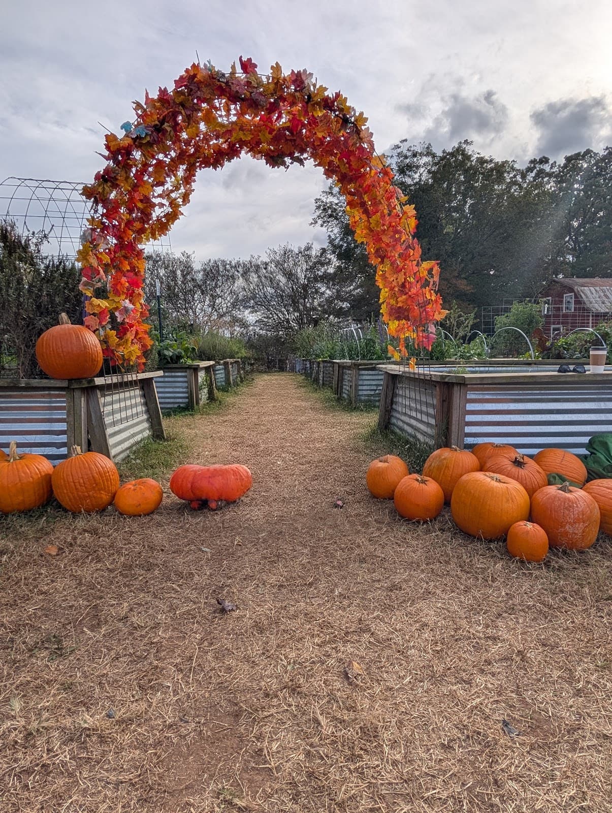 Hodges Family Farm - Image 1