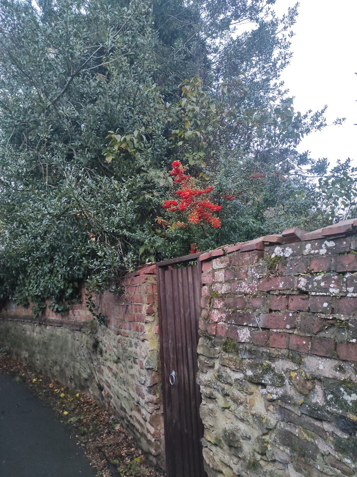 Hardingstone Village - Image 1