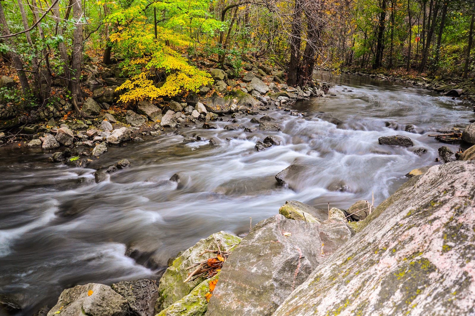 Upper Don Trail - Image 1