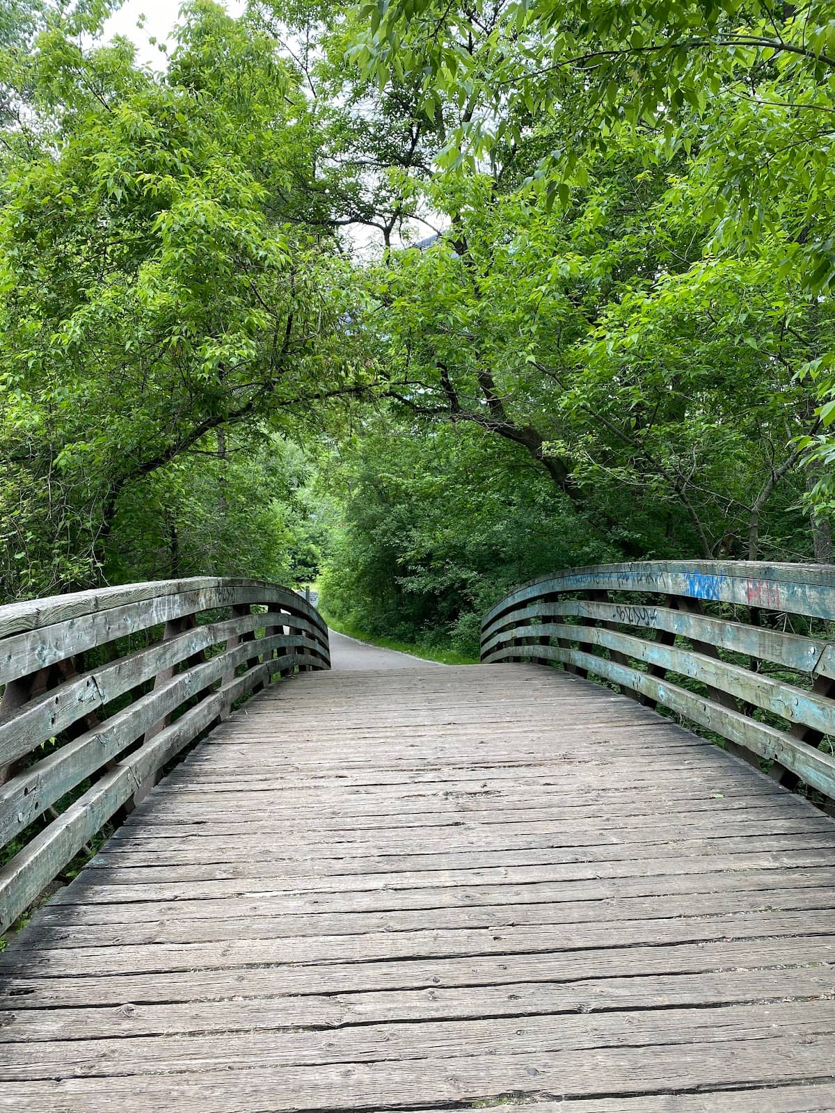 Vertical photo