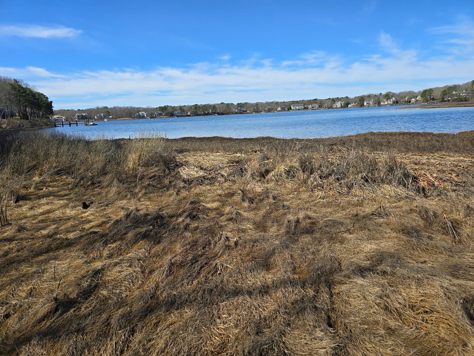 Jehu Pond Conservation Area - Image 1