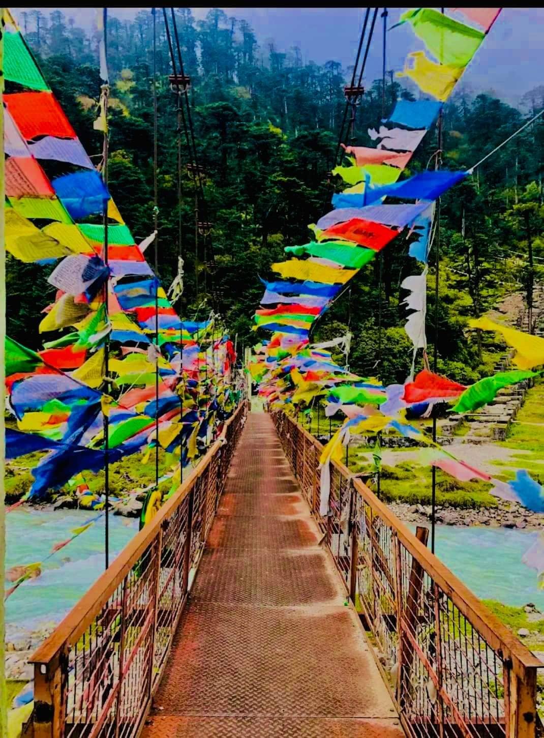 Vertical photo