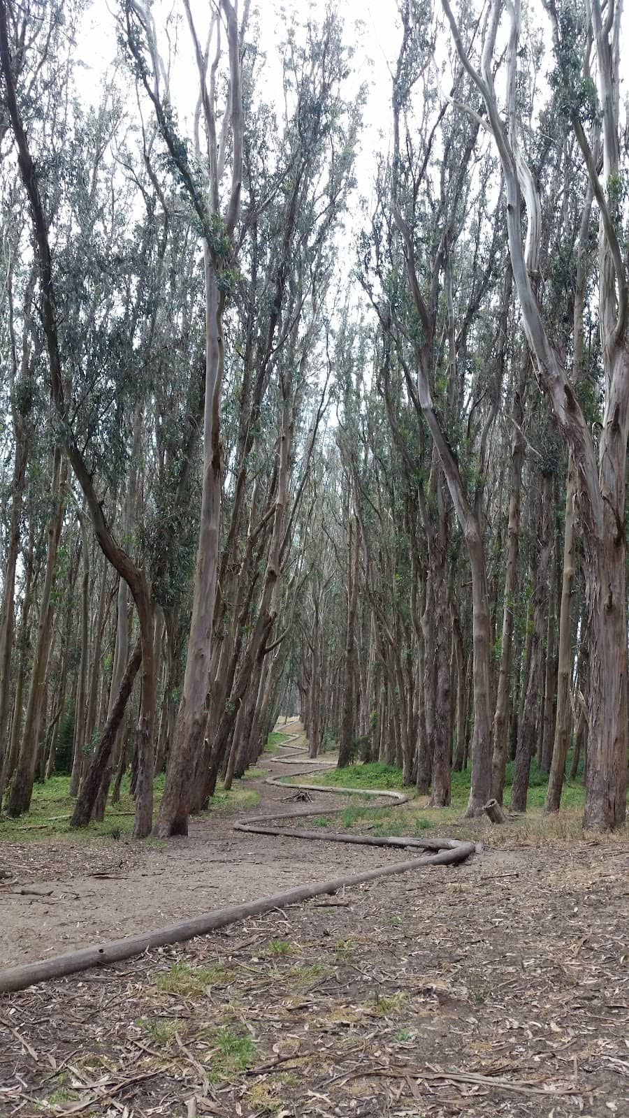 Tunnel Tops Park
