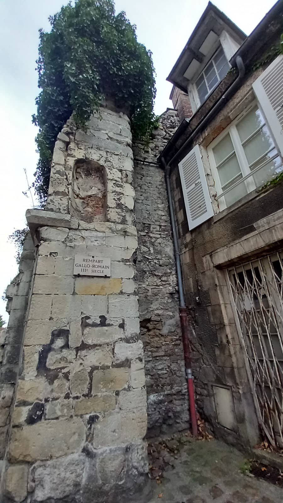 Vertical photo