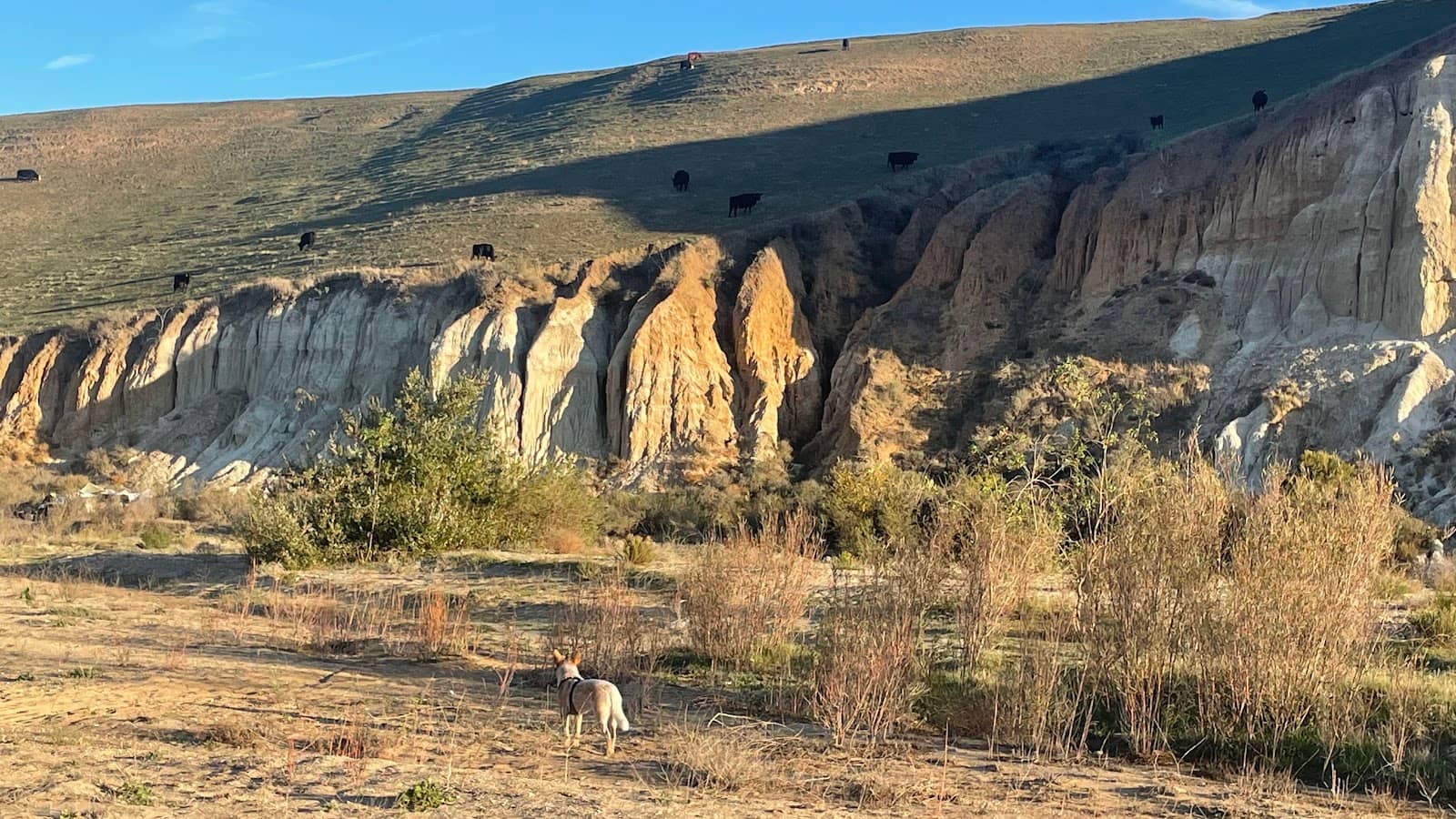 Family Fun & Recreation