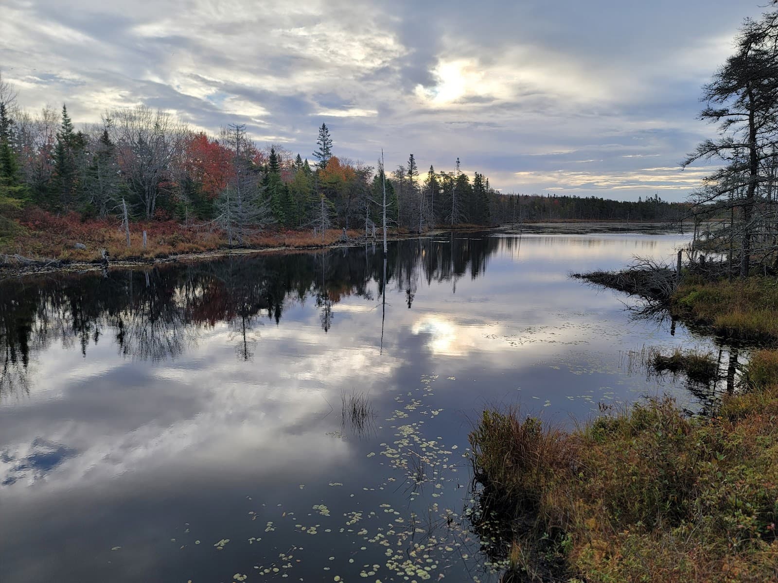 Corea Heath Preserve - Image 1