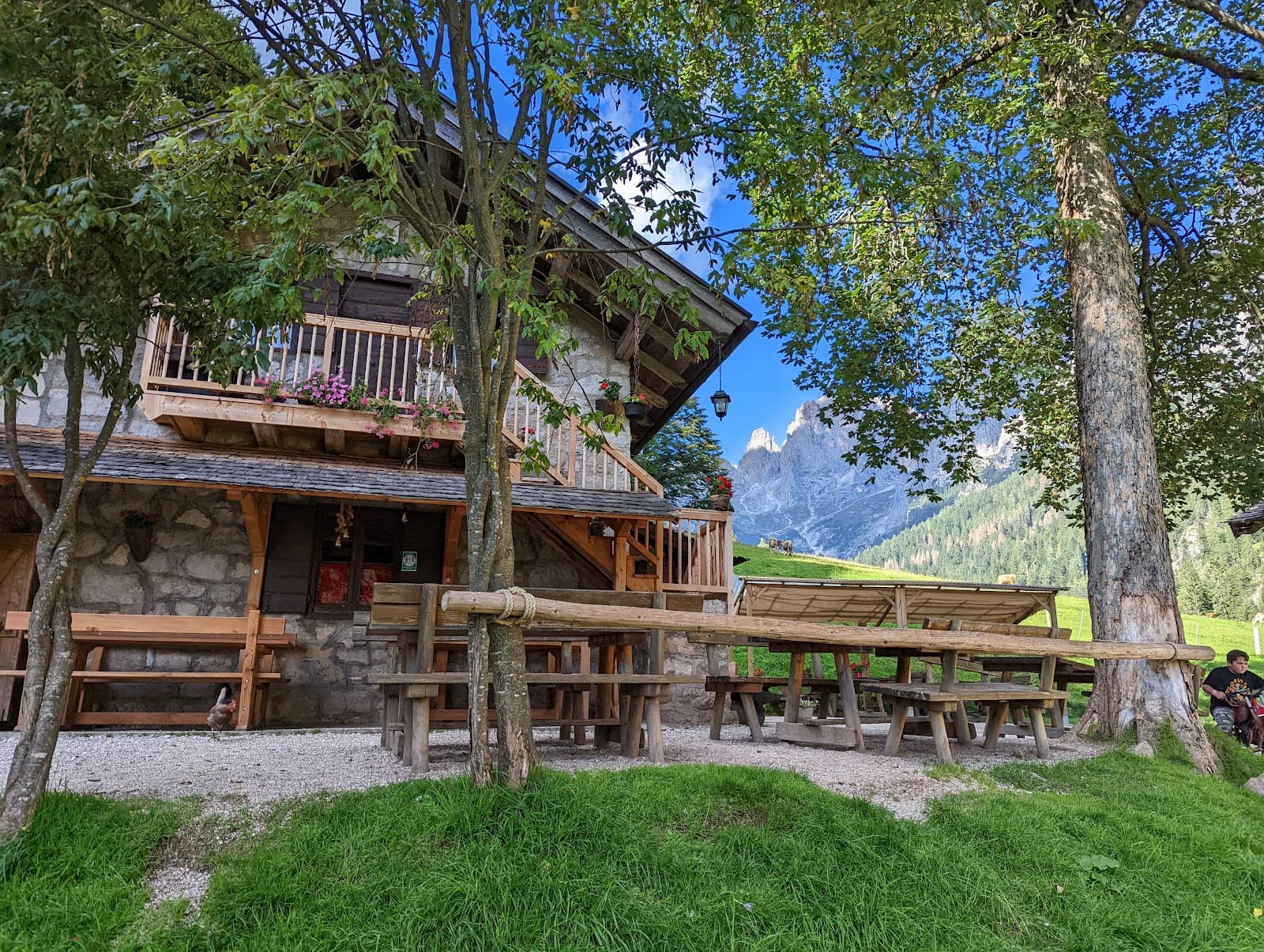 Rifugio Treviso (Canali) - Image 1