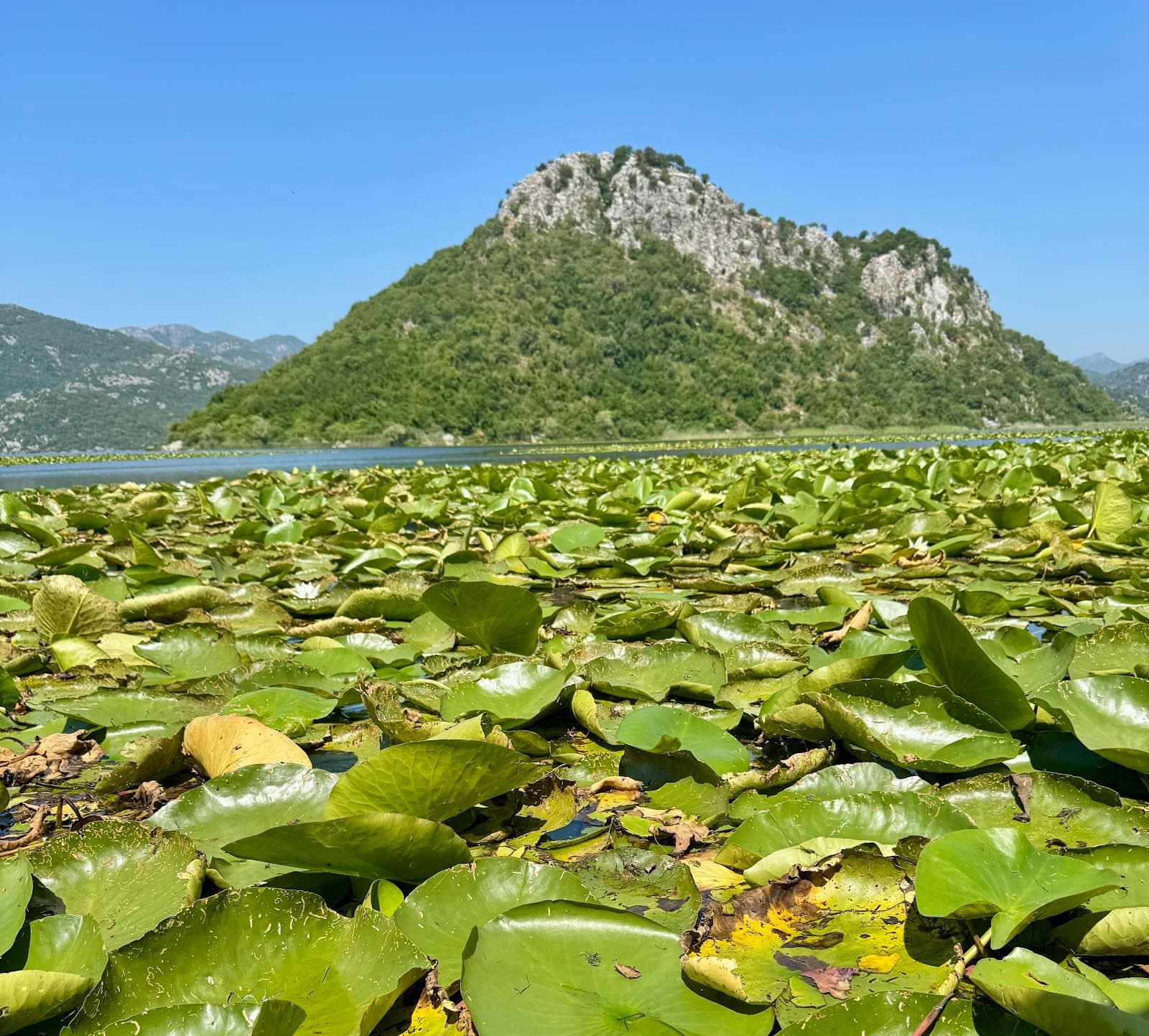 Skadar Lake National Park (Virpazar sector) - Image 1