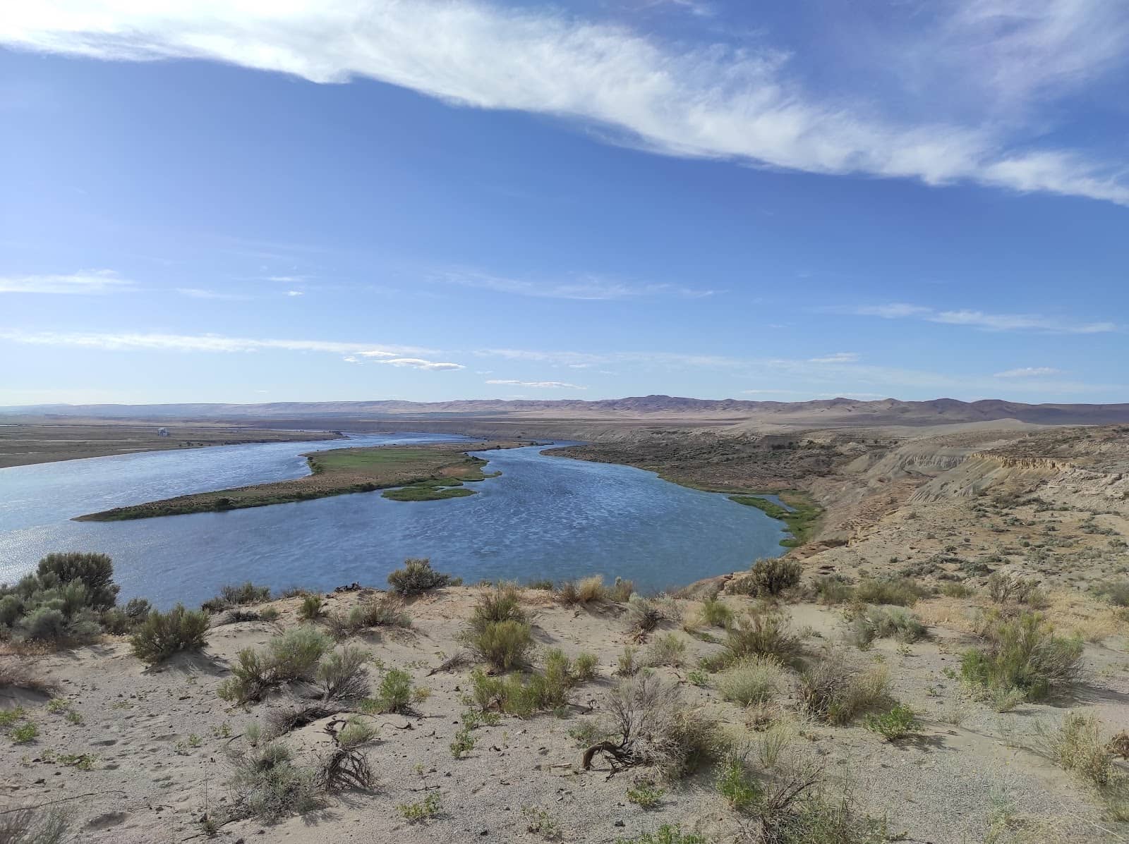 Desert Wildlife & Flora