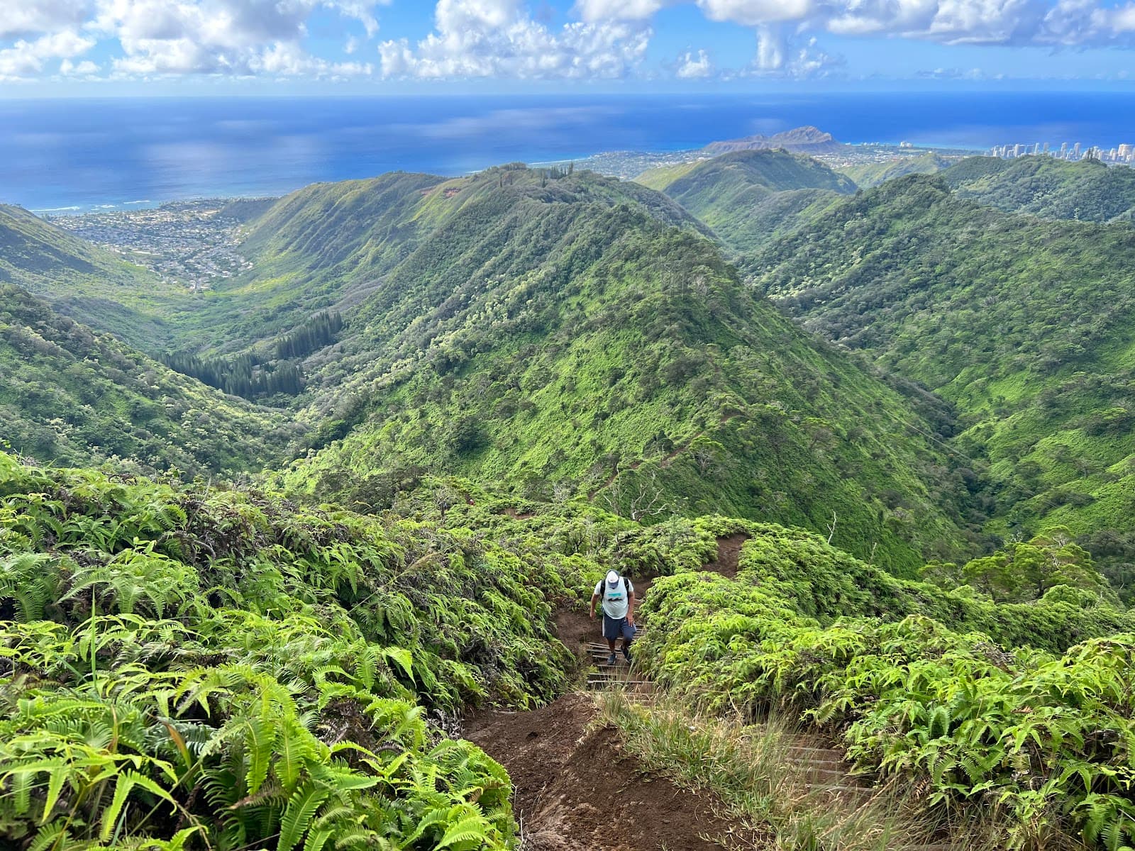 Ohikilolo Ridge Trail - Image 1