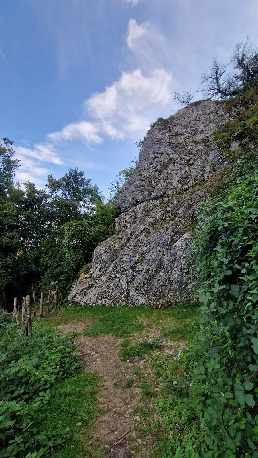 Vertical photo