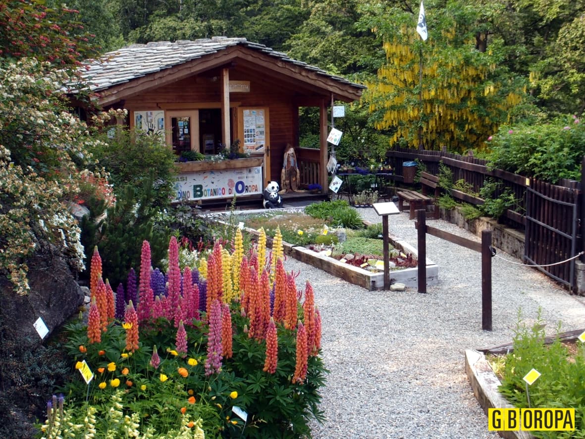 Oropa Botanic Garden - Image 1