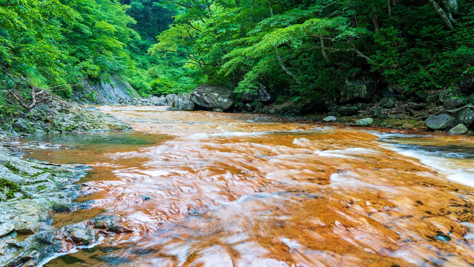 Suspended Bridge Views