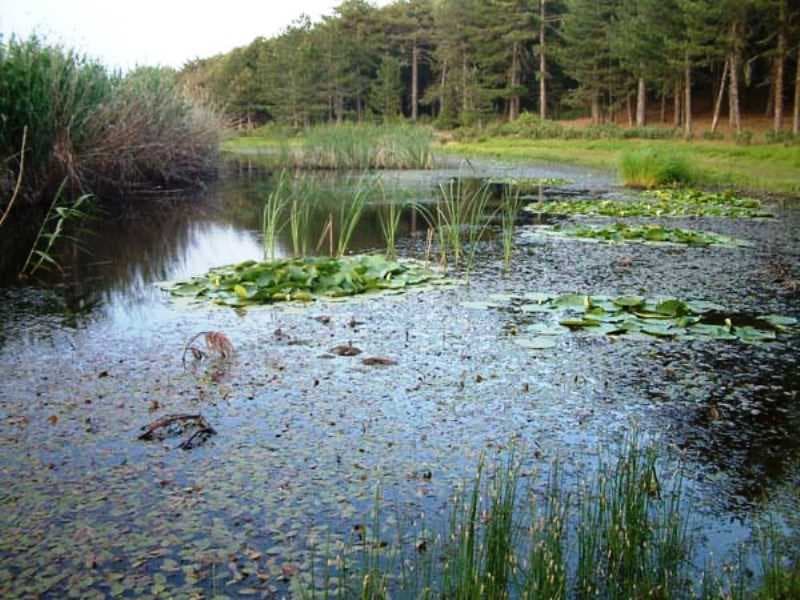 Süleymanlı Yayla Lake (Buldan) - Image 1