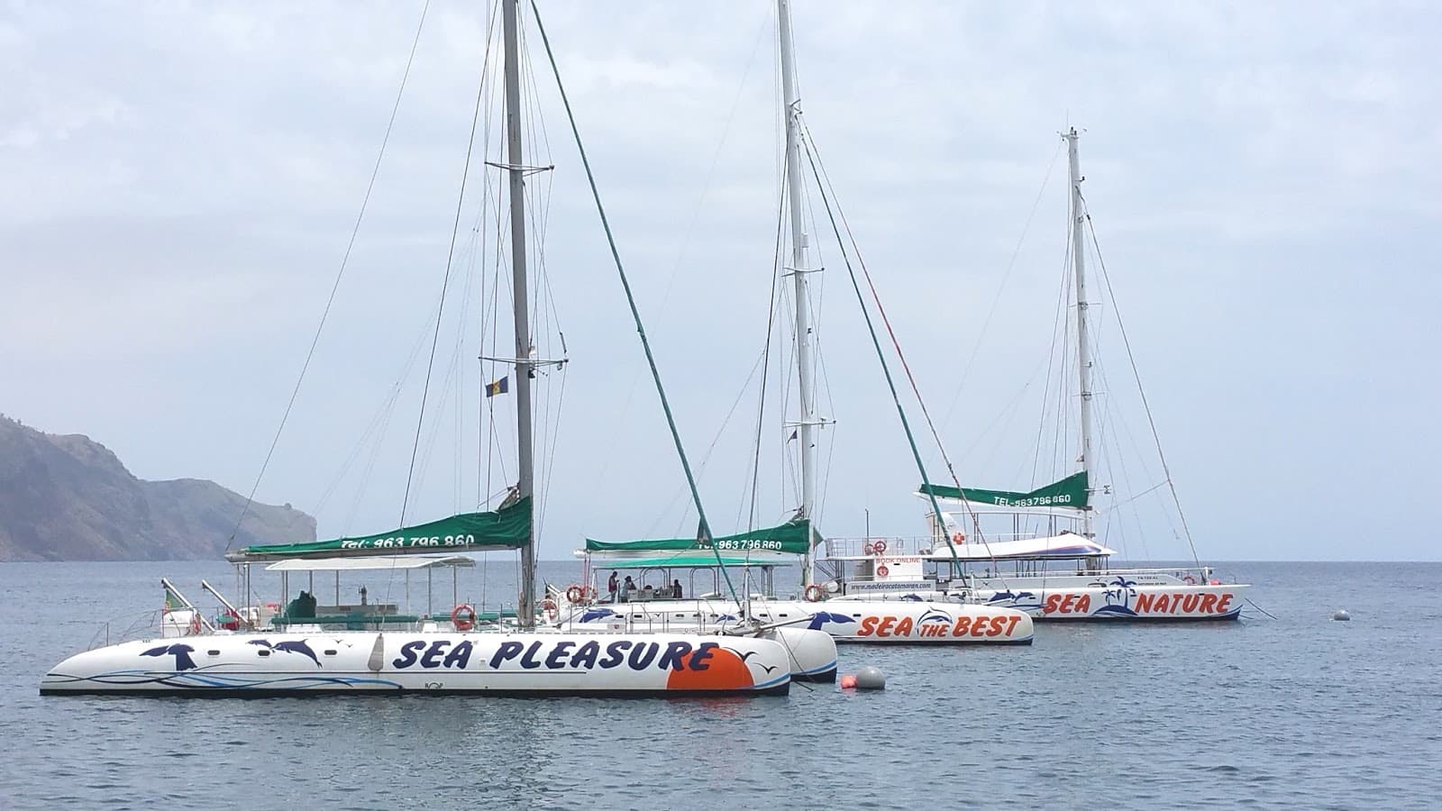 Catamaran Cruise Funchal - Image 1