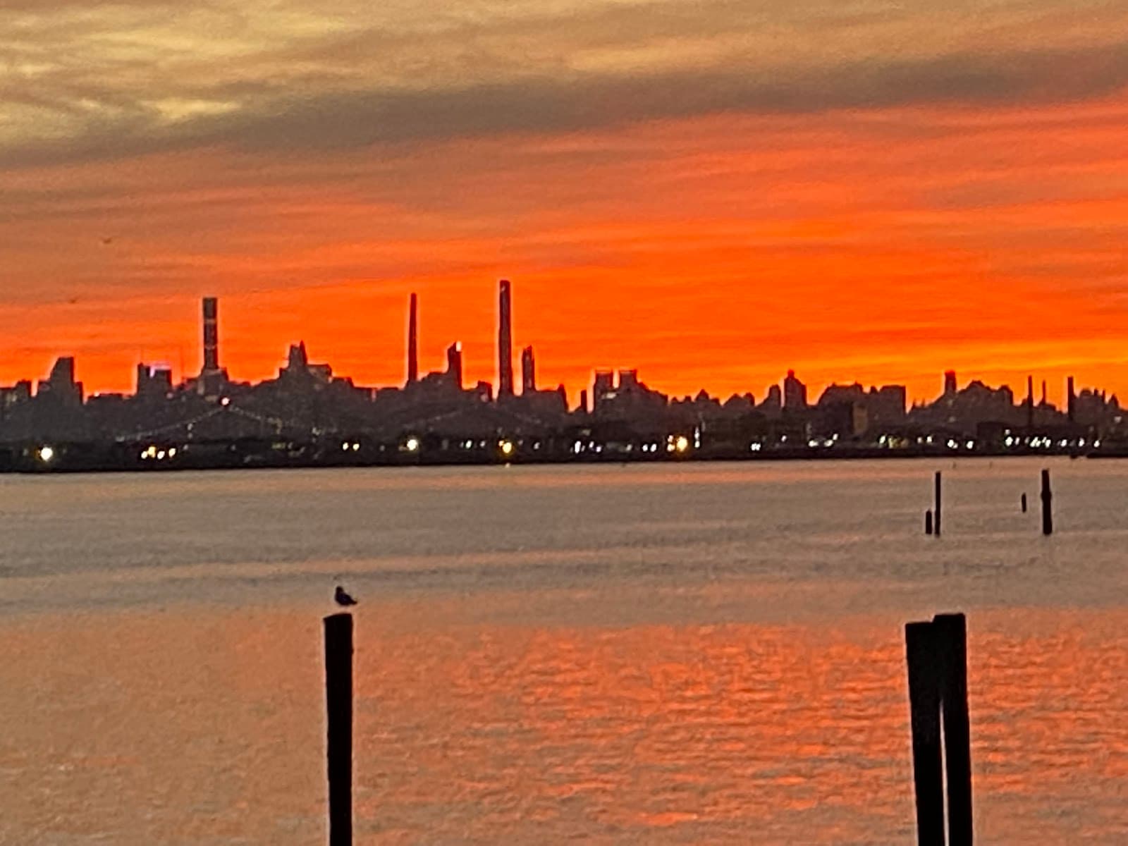 NYC Ferry (Bronx Routes) - Image 1