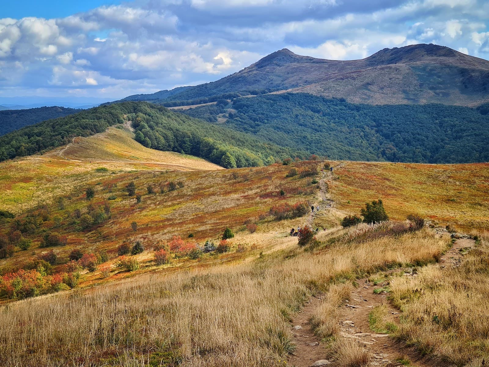 Bieszczady National Park - Image 1