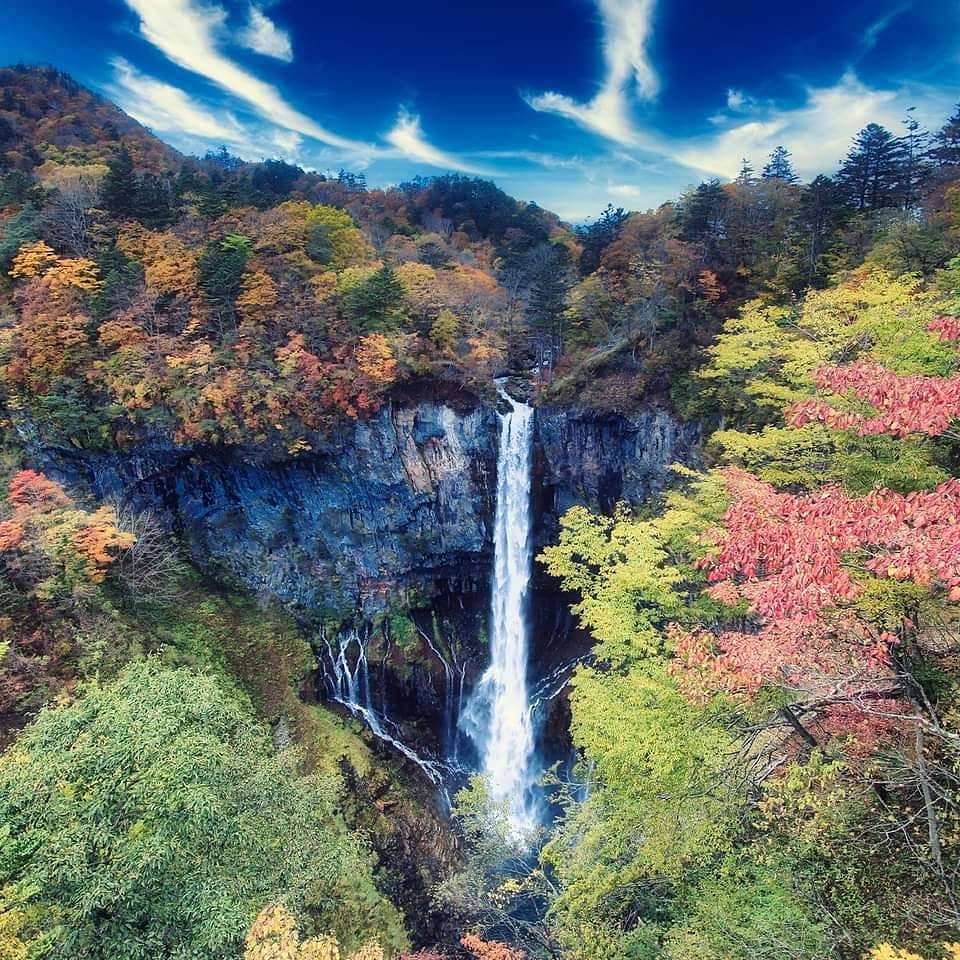 Vertical photo