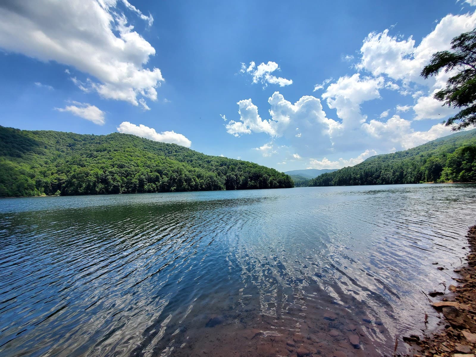 Switzer Lake - Image 1