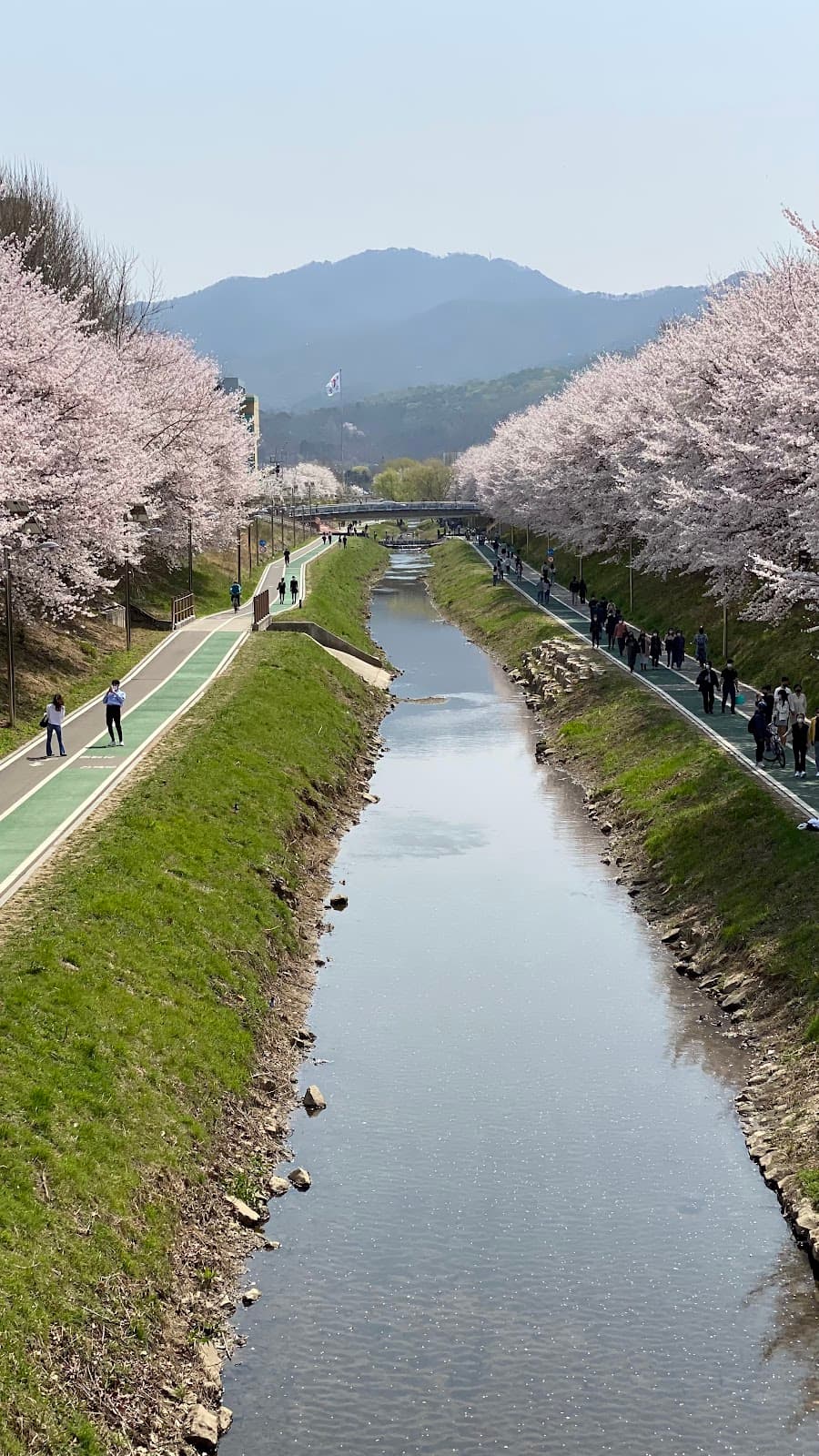 Yangjaecheon - Image 1