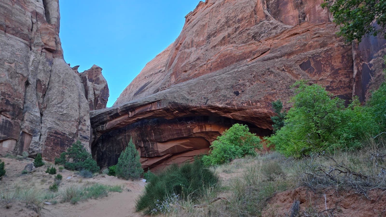 Negro Bill Canyon Trail Moab - Image 1