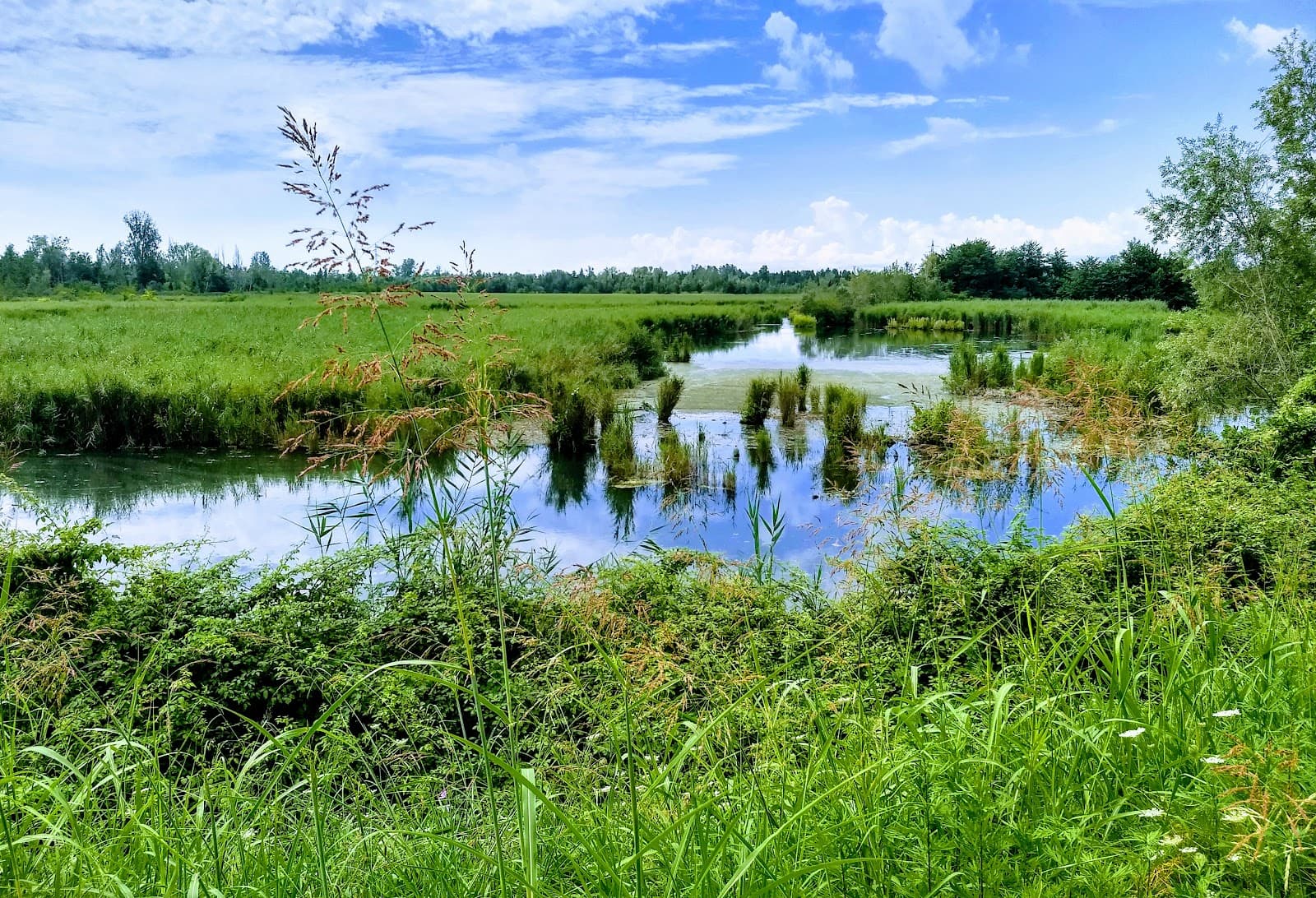 Porta al Mare - Image 1