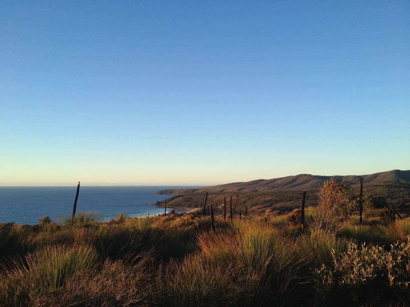 Wildlife Spotting at Springlawn