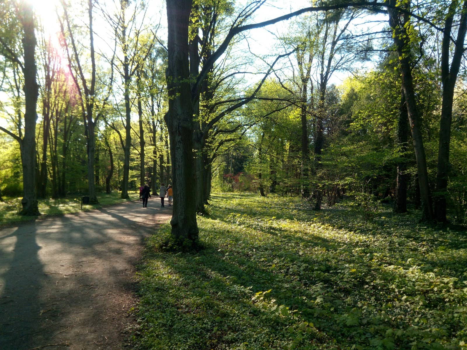 Children's Playground