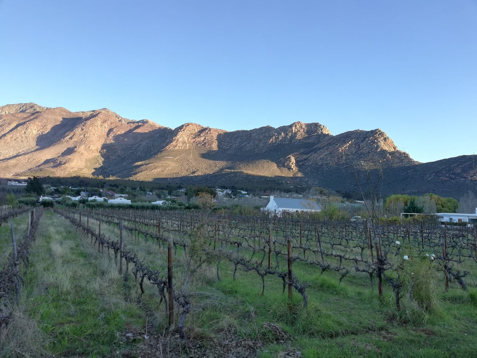 Long Street Historic Area - Image 1