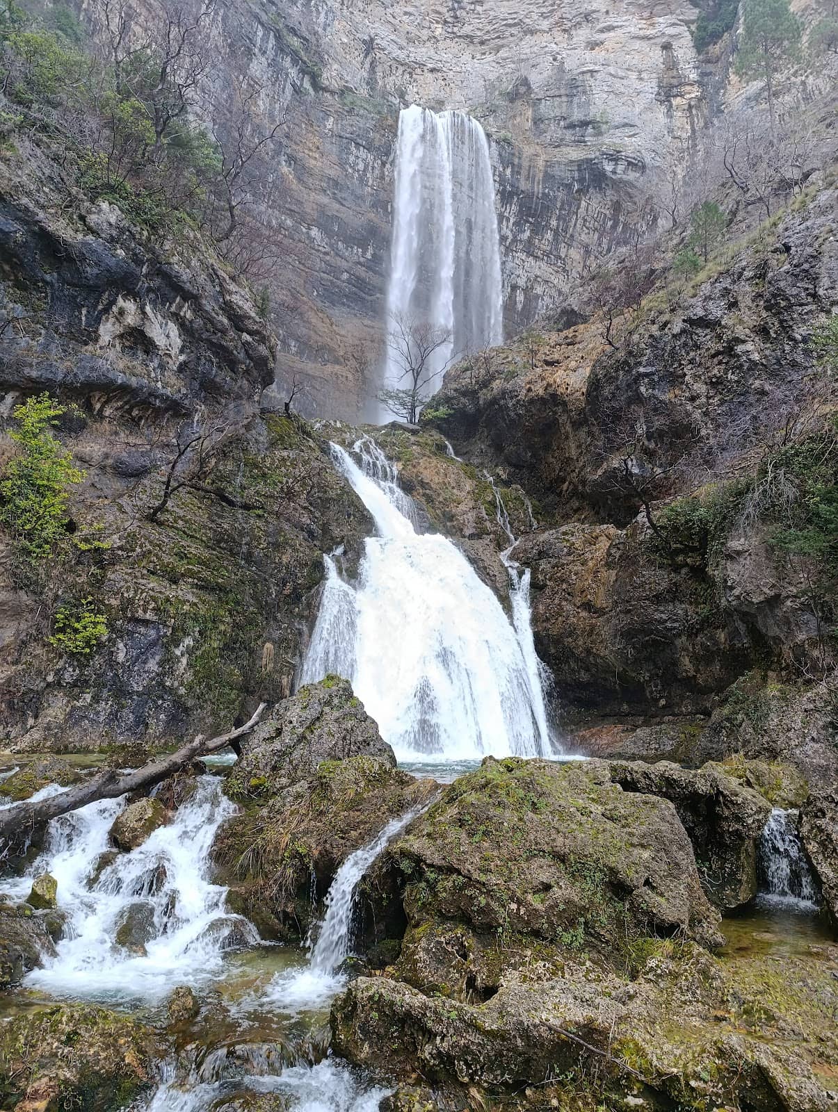 Vertical photo