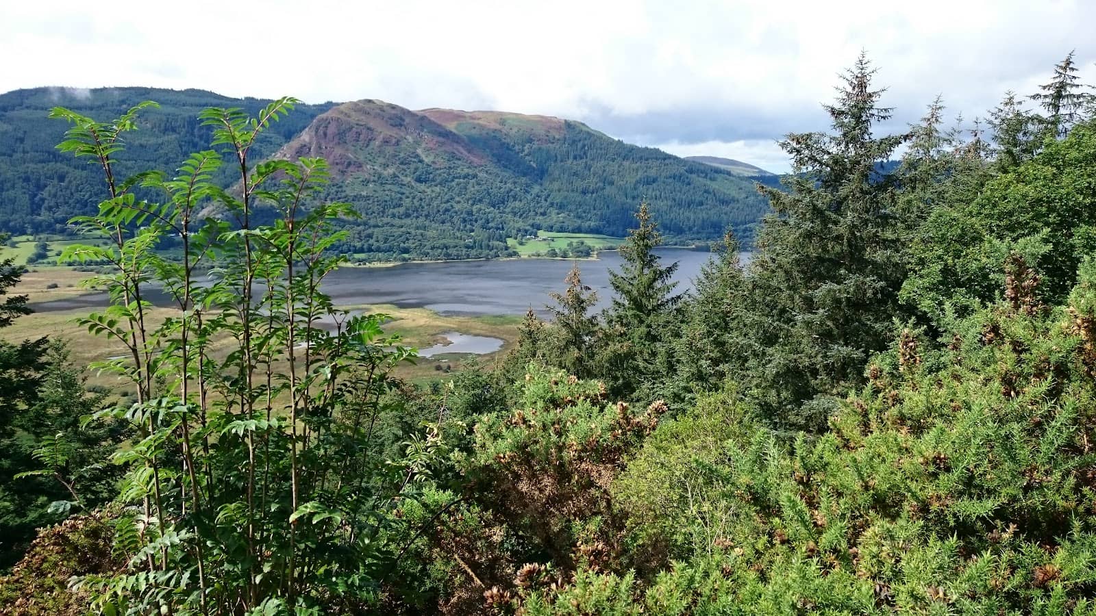 Osprey Viewpoint Vista