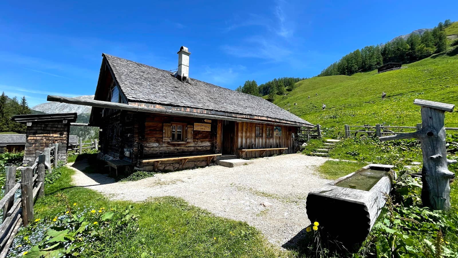 Peaceful Alpine Pasture