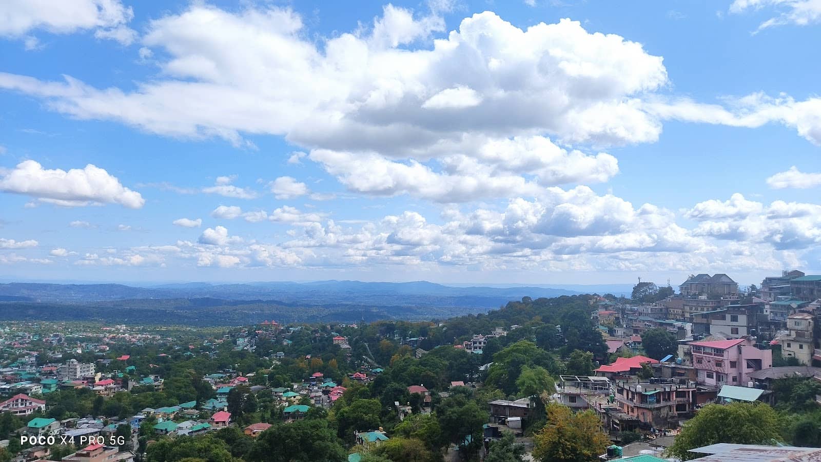 Street Food Delights