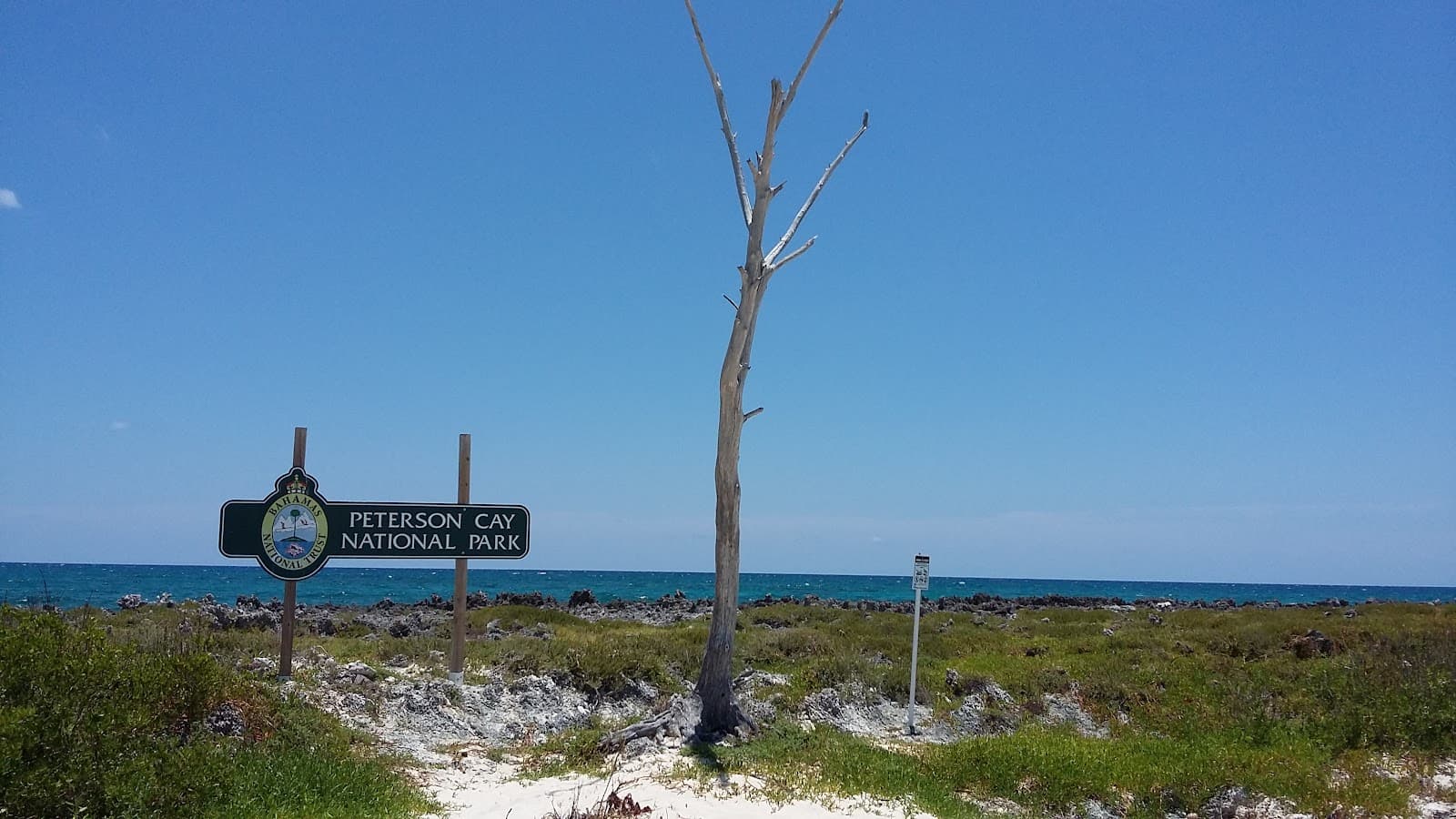 Peterson Cay National Park - Image 1
