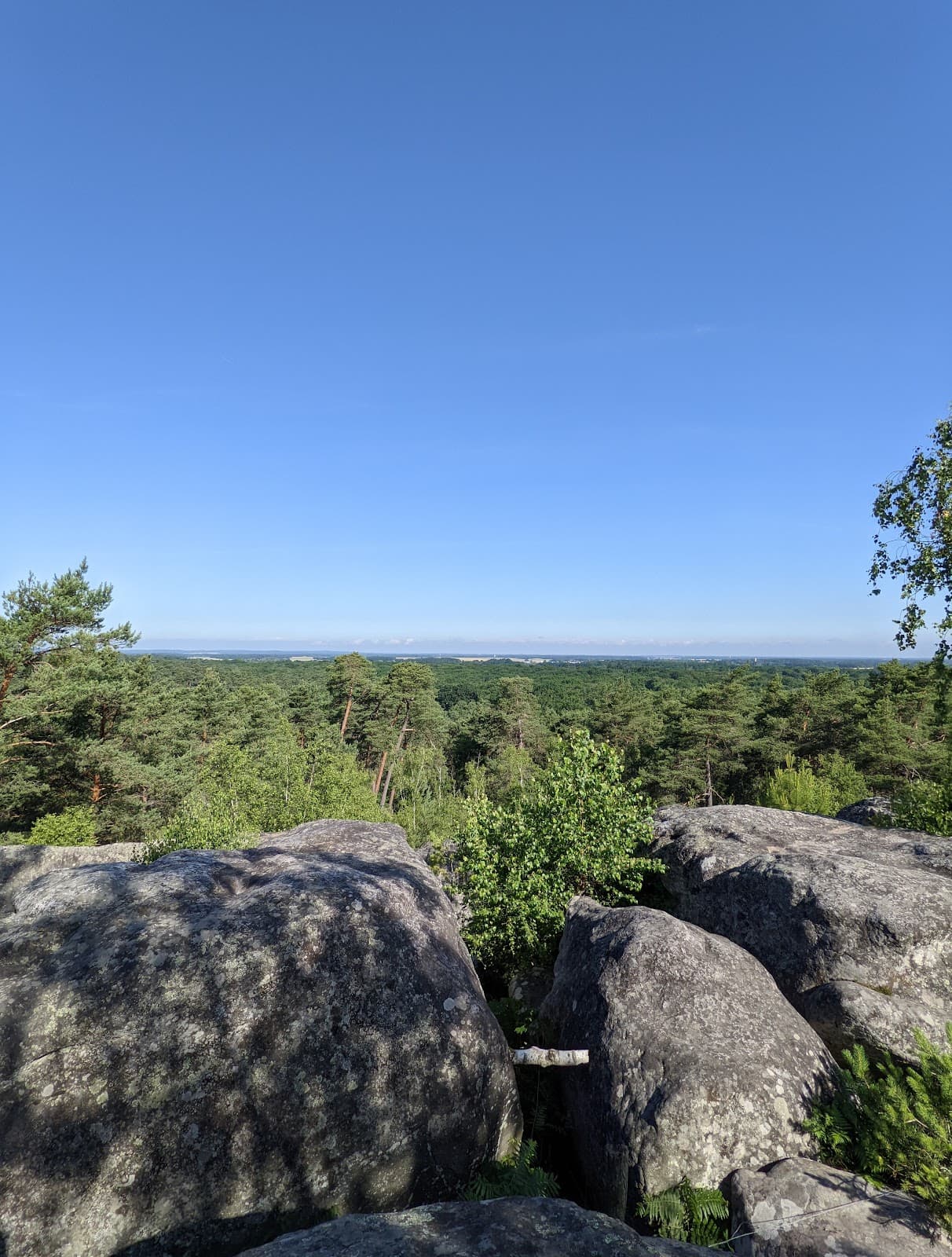 Gorges d'Apremont - Image 1