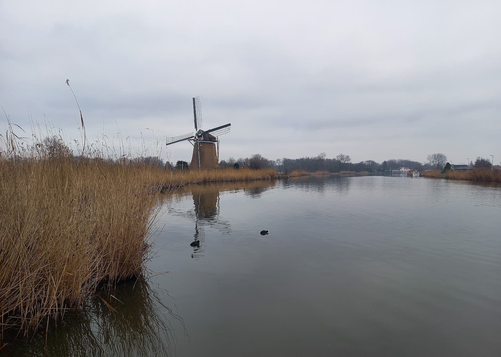 De Rotte River (Bleiswijk) - Image 1