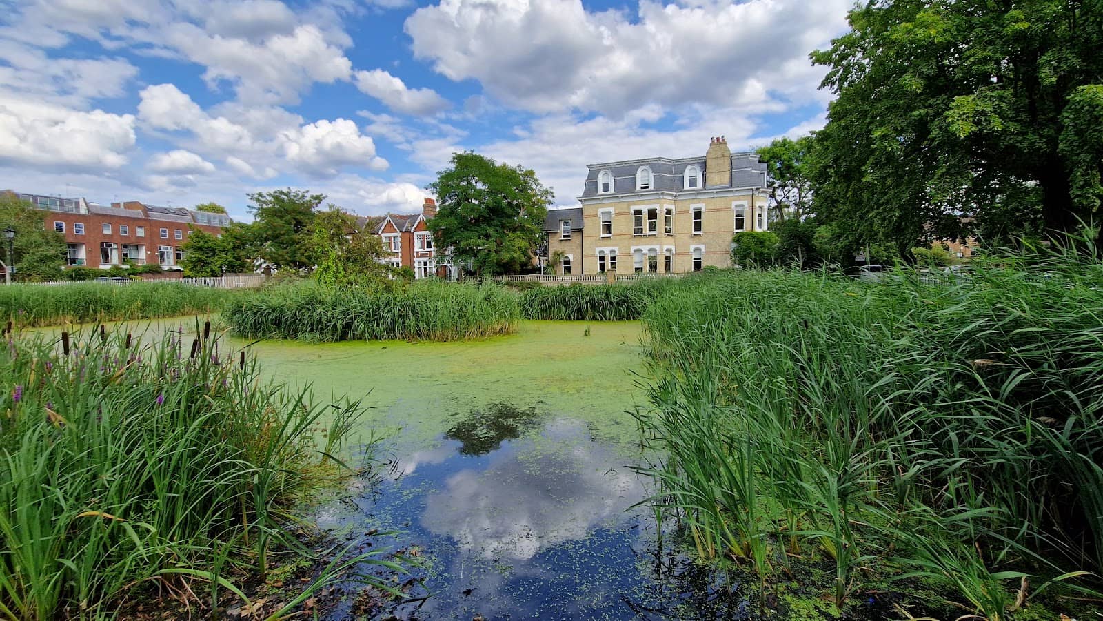 Proximity to Kew Gardens