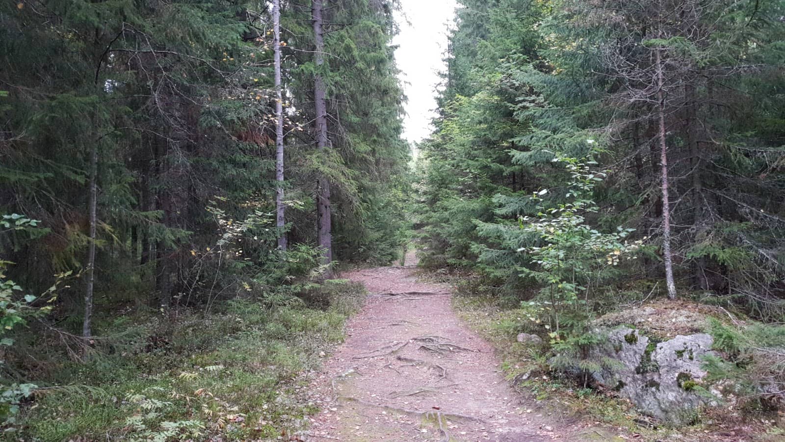 Pirunpesä Rock Walls