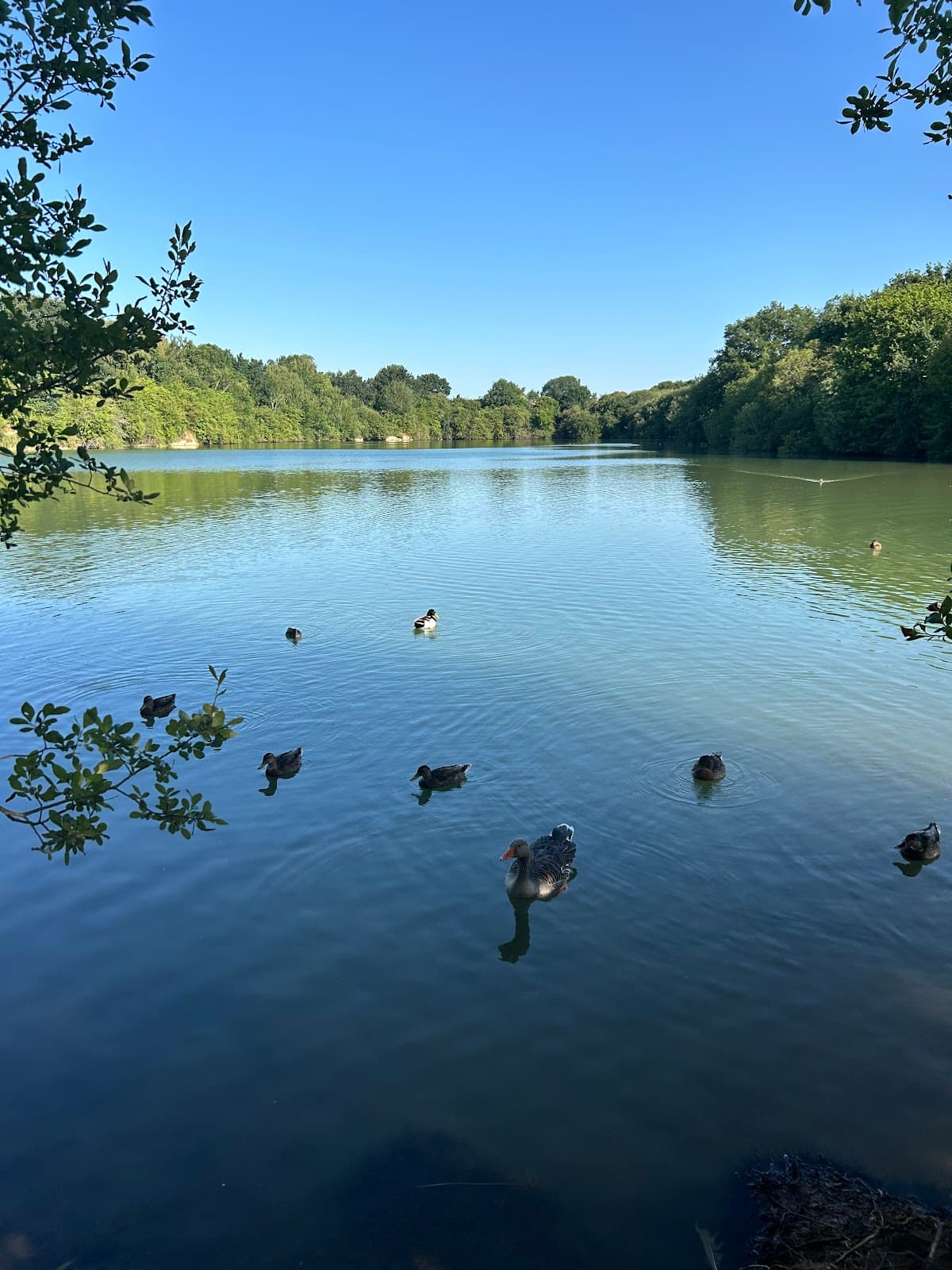 Ensor's Pool - Image 1